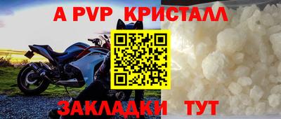 крисы Донской