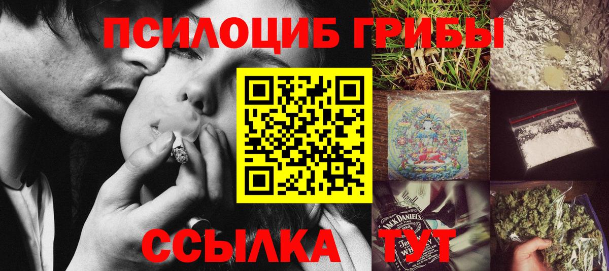 Муравленко  Галлюциногенные грибы Psilocybe  Вход с VPN 